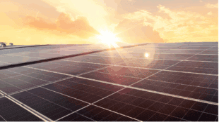 solar panels